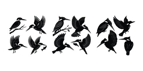 Flying Kingfisher Vector | Wildlife Bird Silhouette Design Kingfisher Silhouette Set | Bird Outline Vector Collection