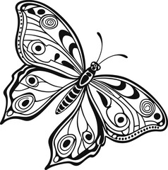 Intricate Black and White Drawing of a Butterfly With Detailed Patterns