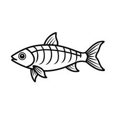 fish on a white background