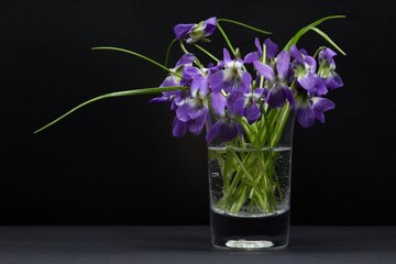 lilac in a glass vase