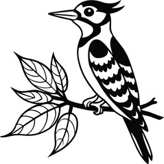 Black and White Woodpecker Bird Drawing on a Branch with Leaves