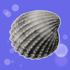 Sea life, seashell, underwater. Shell in sea, ocean or aquarium. Coastal wildlife, tropical conch. Contemporary collage art. Vector illustration.