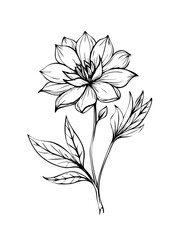 Ultimate Line Art SVG Collection &ndash; Minimal, Abstract & Boho Designs