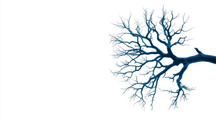 Obraz premium A striking image of a bare tree branch silhouetted against a white background, evoking a sense of loneliness and beauty.