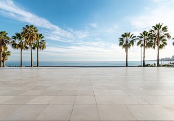 palm tree on the beach