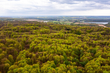 Obraz premium Beautiful spring forest landscape, fresh green leaves on trees in spring, view from drone.