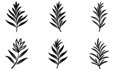 Botanical Leaf Silhouettes | Black Herb Foliage Vector Set for Design and Decoration