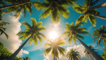 View from below of Palm trees with sunlight and clouds in the background
