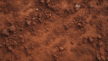Brown terrain surface. Close-up natural environment. Top-down view of soil