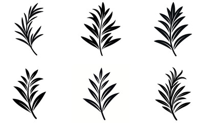 Elegant Black and White Botanical Leaf Silhouettes