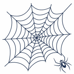 spider web vector	