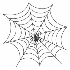 spider web vector	
