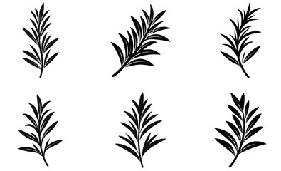 Elegant Black and White Botanical Leaf Silhouettes