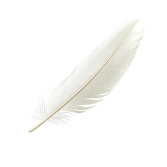 Obraz premium Floating white feather in air nature photography serene environment close-up view