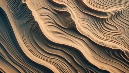 Wet sand texture at the beach shoreline.