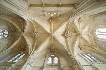 Majestic ancient Spanish Catholic church ceiling with intricate details and ornate architecture, Majestic, ancient Spanish catholic church ceiling - Low, wide shot