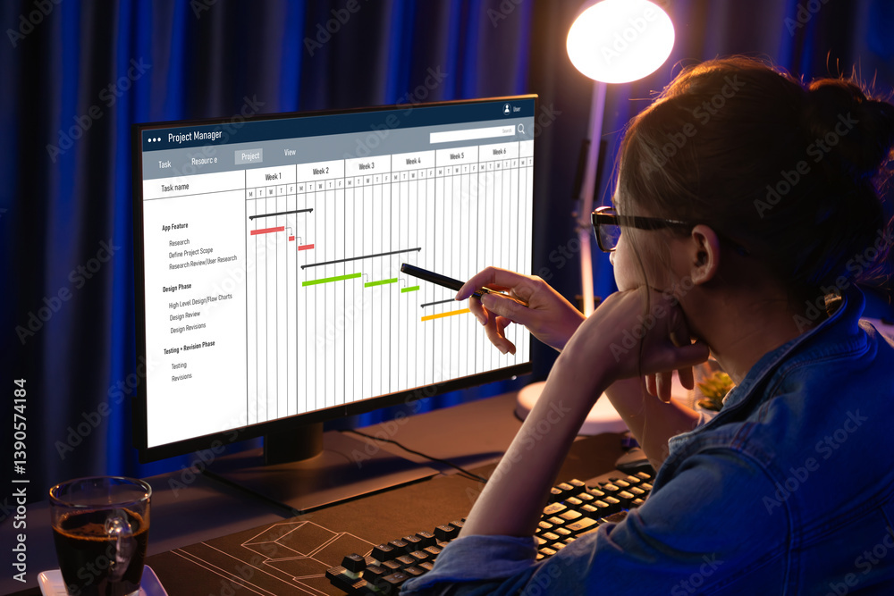 Poster project planning software for brisk business project management on the computer screen showing timel