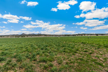 A lush green field with a bright blue sky and fluffy clouds