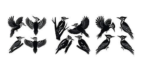Pecking Woodpecker Vector | Wildlife Bird Silhouette Woodpecker Silhouette Set | Bird on Tree Vector Design