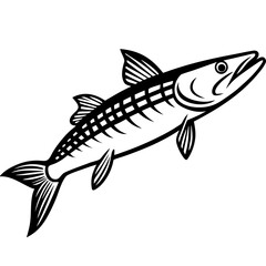 Fototapeta premium Illustration of a barracuda with detailed fins and scales in a monochrome graphic representation style