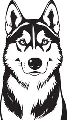 Husky dog. Hand drawn vector illustration