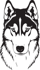 Husky dog. Hand drawn vector illustration