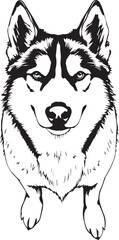 Husky dog. Hand drawn vector illustration
