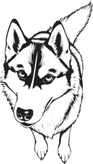 Husky dog. Hand drawn vector illustration
