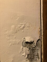 A moldy wall typically refers to a wall that has been affected by mold growth, which can occur when moisture or humidity builds up in a particular area. Mold thrives in damp environments, often appear