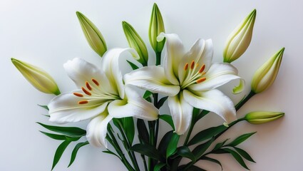 Fototapeta premium White Lily bouquet isolated on a background for decoration and card use.