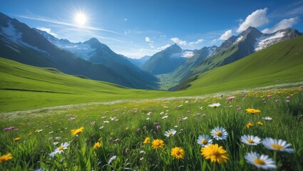 Remarkable mountain landscape during a sunny summer day. Flourishing alpine meadow in the highlands. Tranquil valley nestled in the mountains.