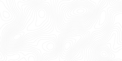 White wave paper curved reliefs abstract background topographic map line, contour background Vector geographic contour map. © md