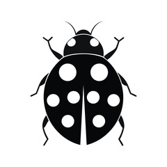 a vector illustration of a  ladybug.eps