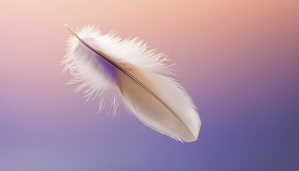 Naklejka premium feather on a blue background