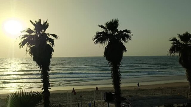 Palm trees, sunset view, Landscape view of palm trees and sandy beach, Exotic Palms and sunset scenery,	