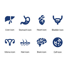 Liver, Stomach, Heart, Bladder, Uterus, Heir, Brain, Cell, Blue Icon Set