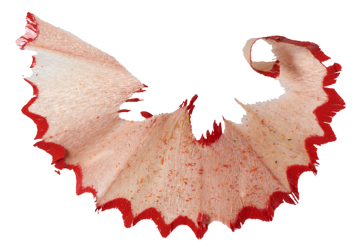 Curled red pencil shaving on isolated background. Close up