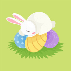 vector illustration of cute easter bunny asleep on eggs. With copy space for text