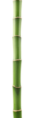Fototapeta premium Beautiful green bamboo stem isolated on white