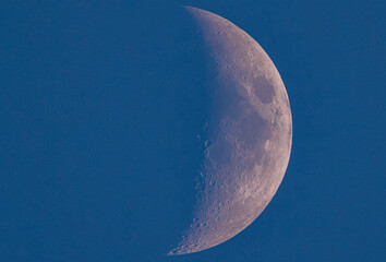 Mond