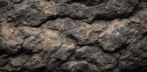 Close-Up of a Dark, Rough, and Textured Surface