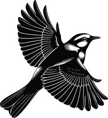 Nightingale Bird Silhouette Vector Collection