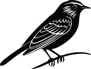Nightingale Bird Silhouette Vector Collection