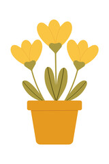 Three yellow flowers in an orange pot, vector illustration isolated on white. Perfect for spring decor, floral art, garden design.