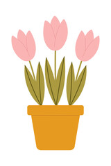 Potted pink tulips illustration, cute vector illustration isolated on white background.