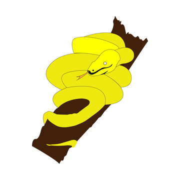 yellow python snake vector icon - flat animal logo design