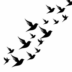 birds, flock of bird, vector of birds