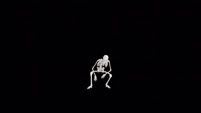 3D skeleton animation alpha channel
