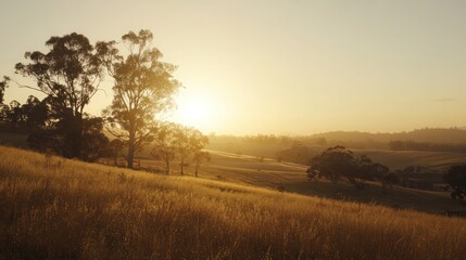 Sunrise over golden field, rural landscape, tranquil scene