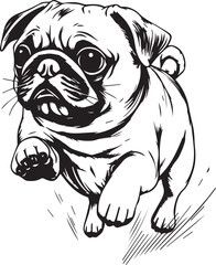 Pug dog. Hand drawn vector illustration